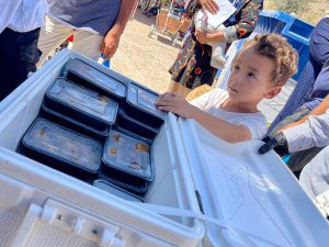 Dystrybucja posiłków dla uchodźców w Grecji